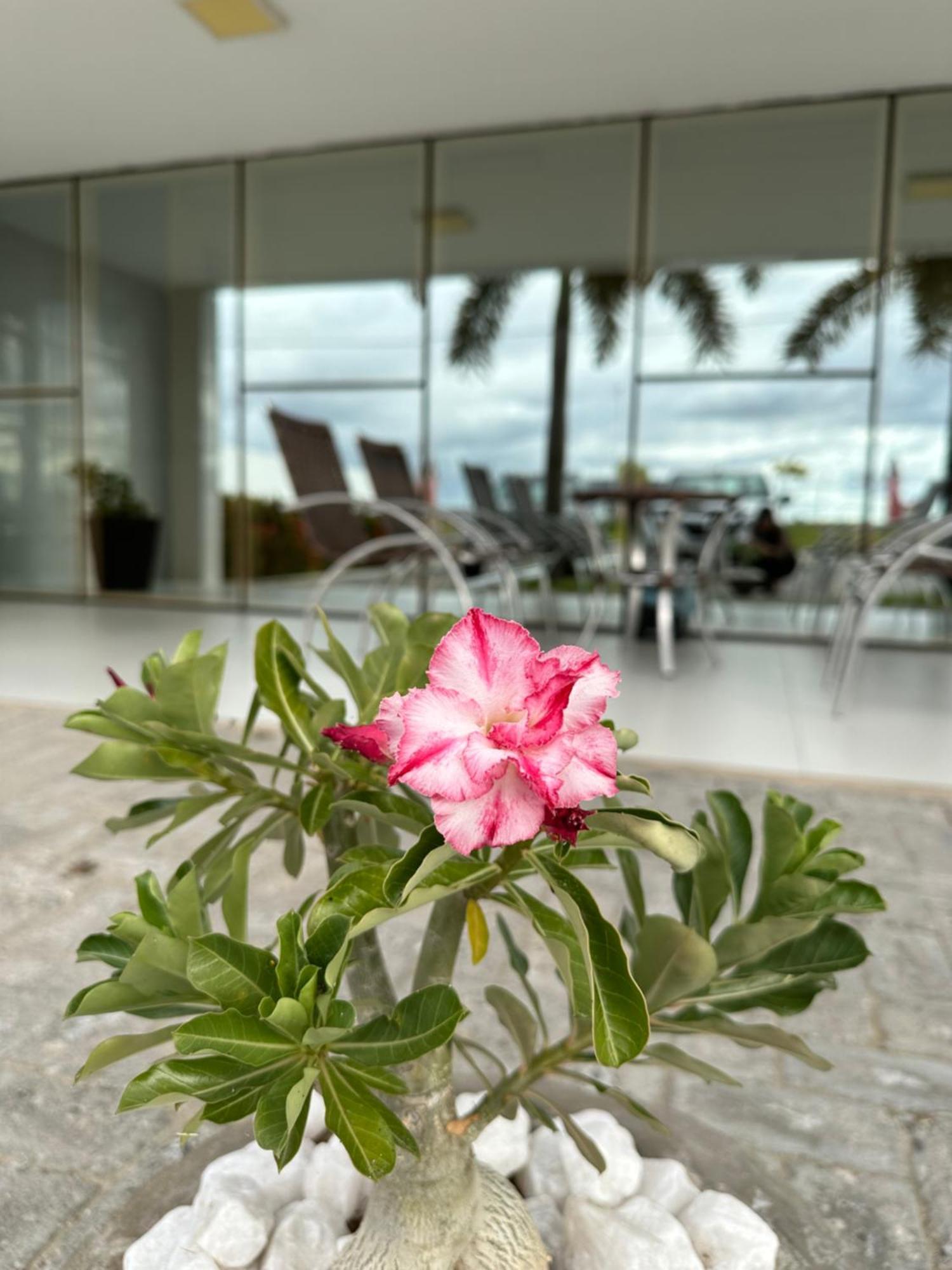 Hotel Oasis De Patos מראה חיצוני תמונה